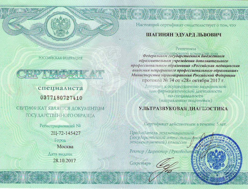 04-Шагинян_сертификат копия